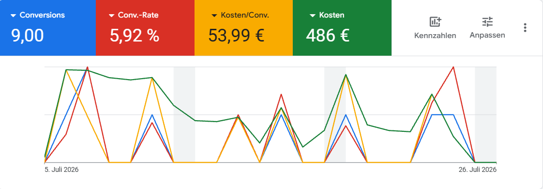 Screenshot einer Google Ads Kampagne für einen Reinigungsservice mit 9 Anfragen bei 486 € Budget